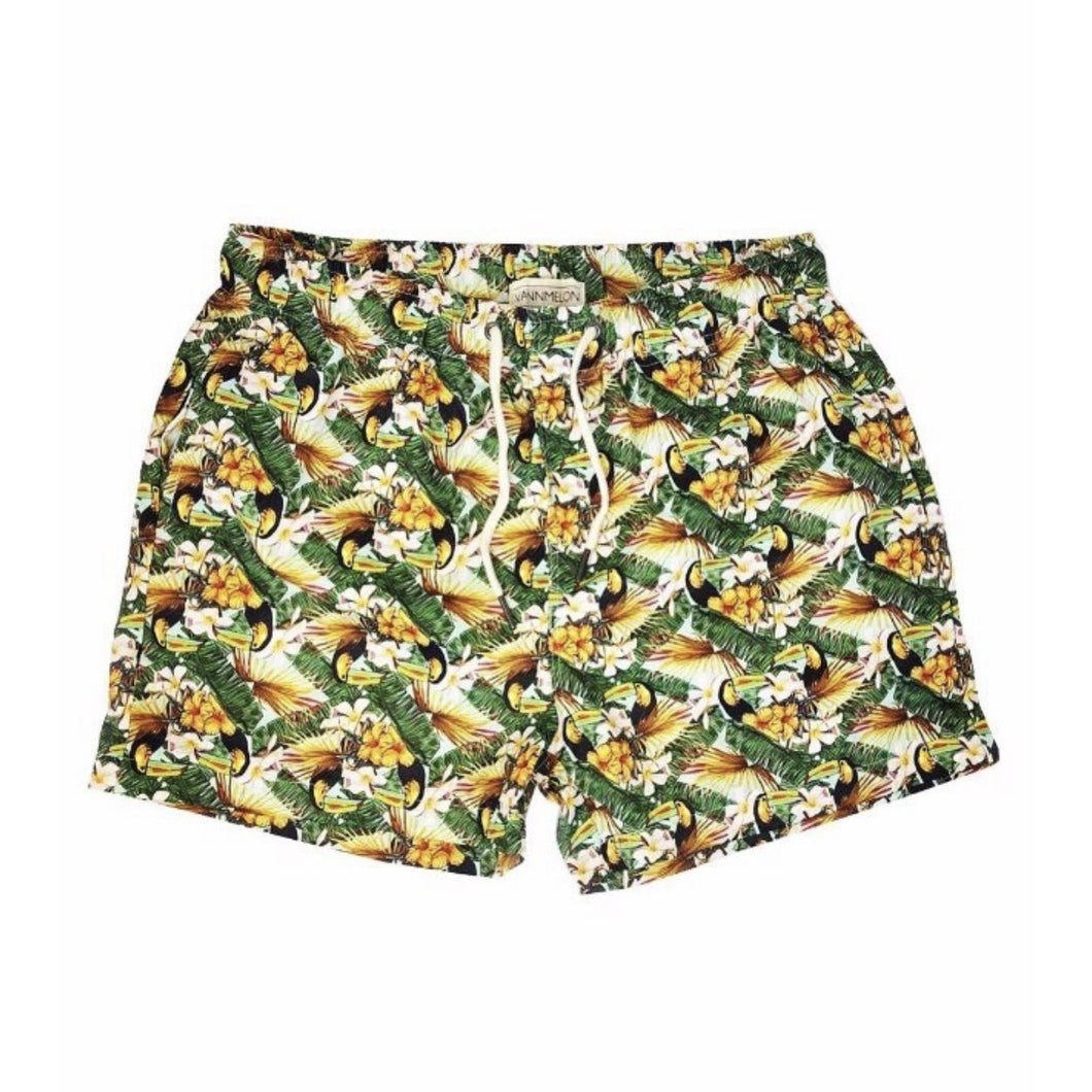 Toucans